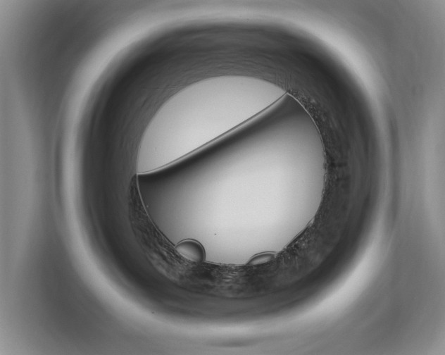 X0000111950143200907271042