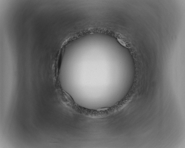 X0000111950144200907271042