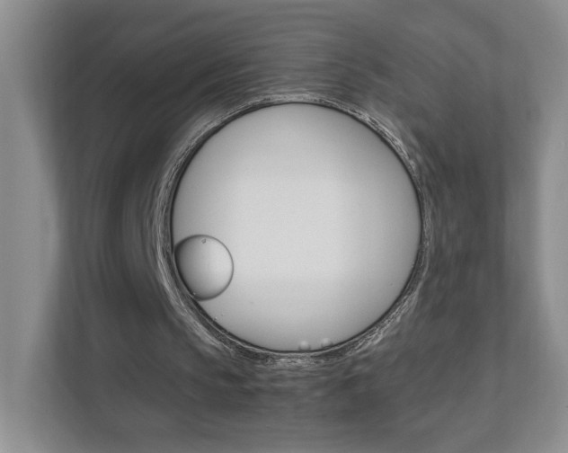 X0000111950145200907271042