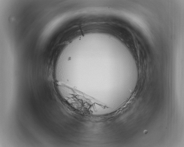 X0000111950146200907271042