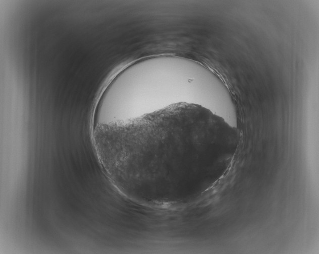 X0000111950147200907271042