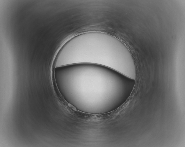 X0000111950148200907271042