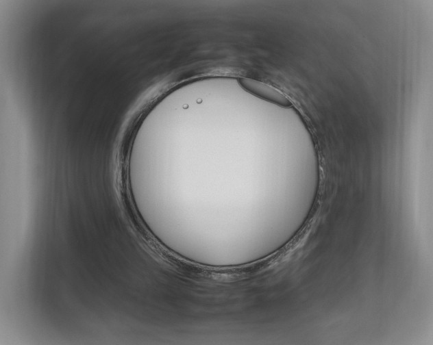 X0000111950149200907271042