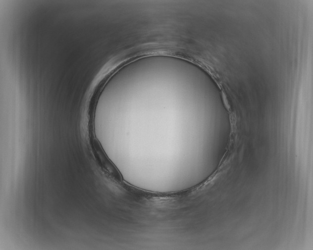 X0000111950150200907271042