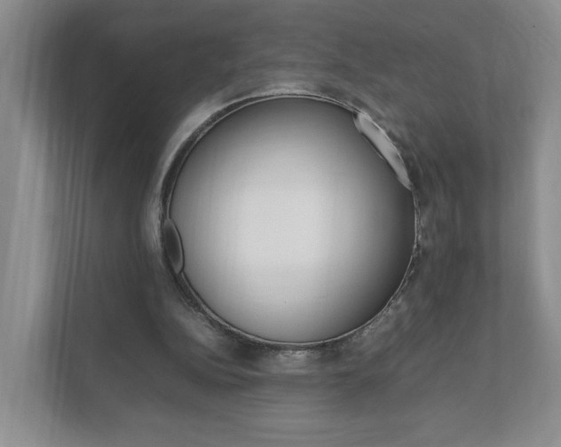 X0000111950152200907271042