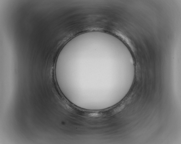 X0000111950153200907271042