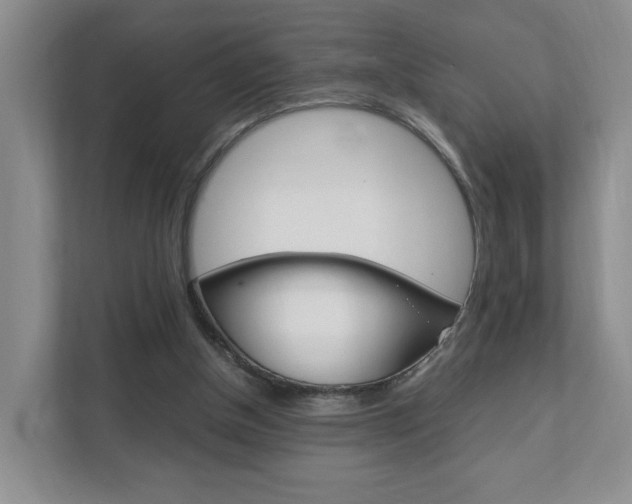 X0000111950154200907271042