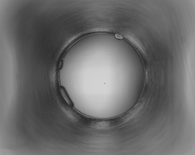 X0000111950156200907271042