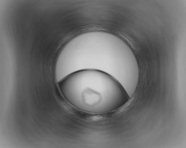 X0000111950158200907271042