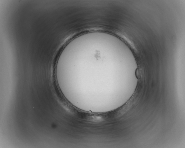 X0000111950159200907271042