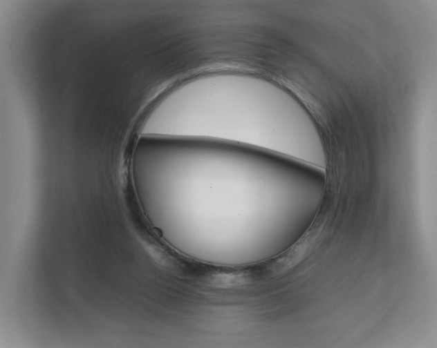 X0000111950160200907271042