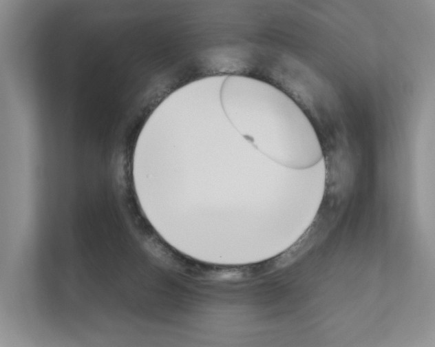 X0000111950162200907271042