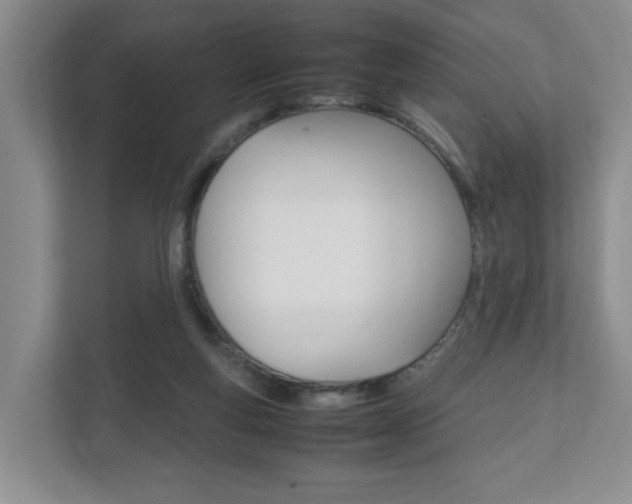 X0000111950163200907271042
