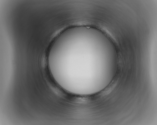 X0000111950164200907271042