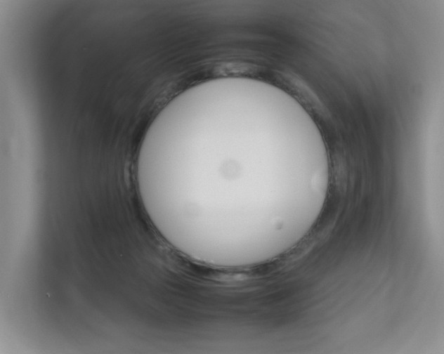 X0000111950169200907271042