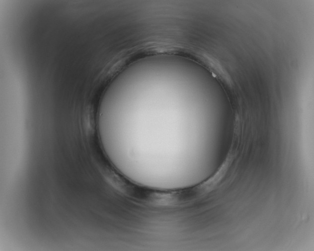 X0000111950170200907271042