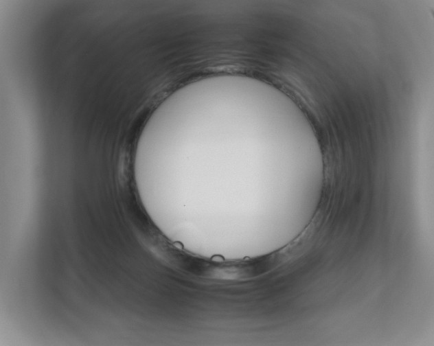 X0000111950171200907271042
