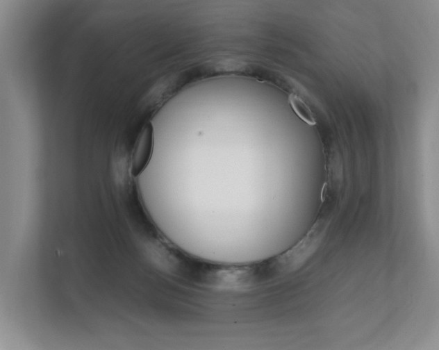 X0000111950172200907271042