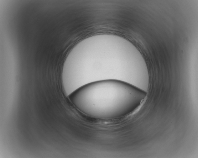 X0000111950174200907271042