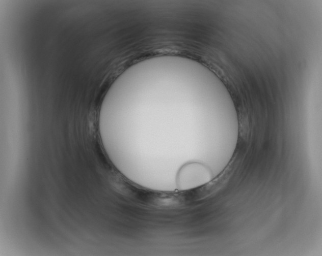 X0000111950175200907271042