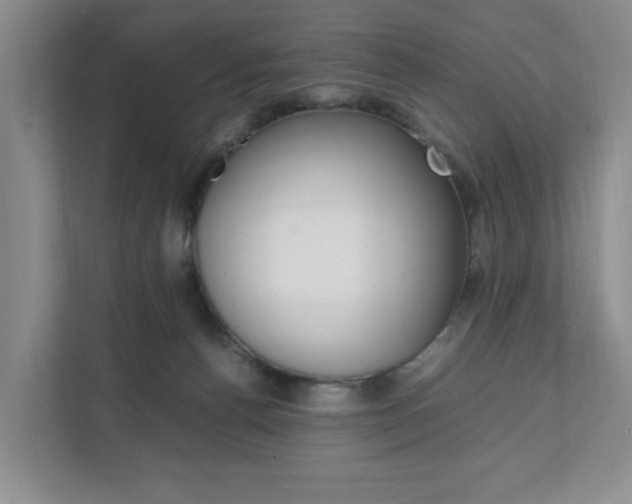X0000111950176200907271042