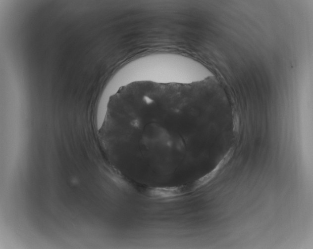 X0000111950179200907271042