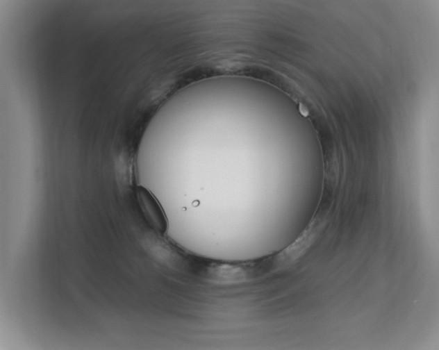 X0000111950180200907271042