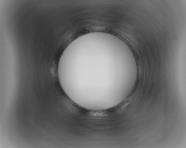 X0000111950181200907271042