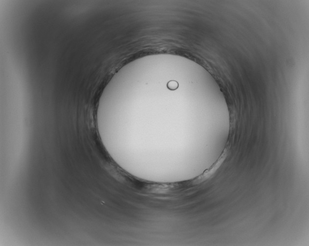 X0000111950182200907271042