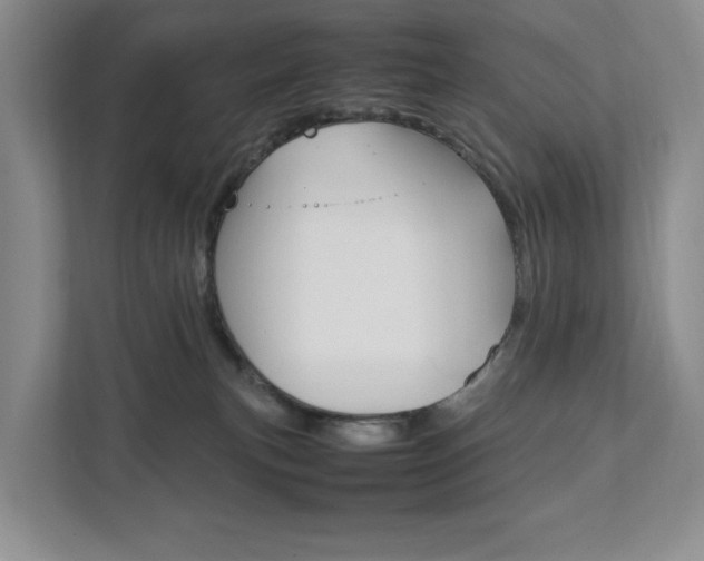 X0000111950183200907271042