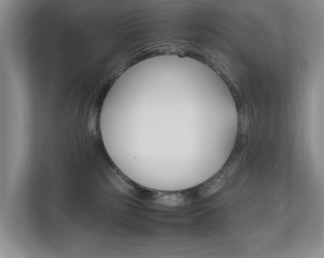 X0000111950185200907271042