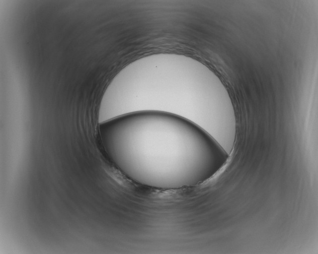 X0000111950186200907271042