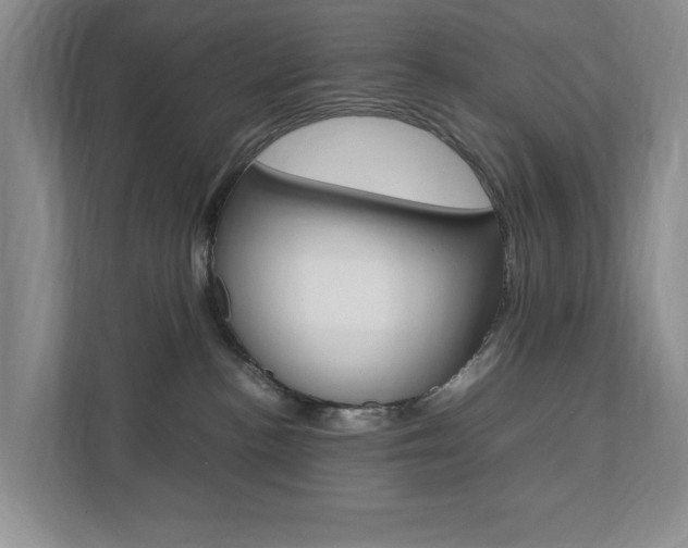 X0000111950188200907271042