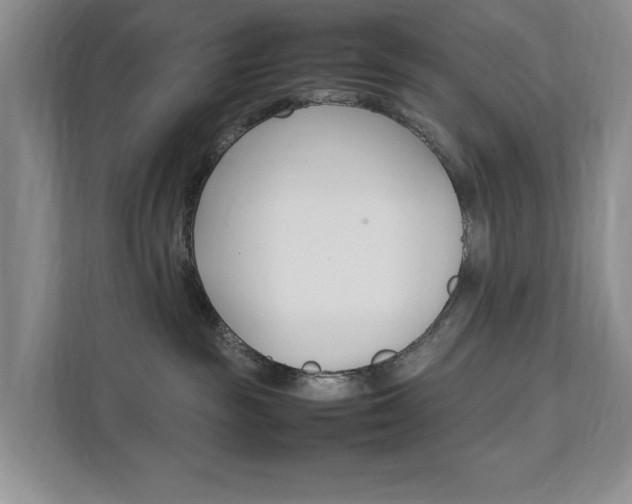 X0000111950189200907271042