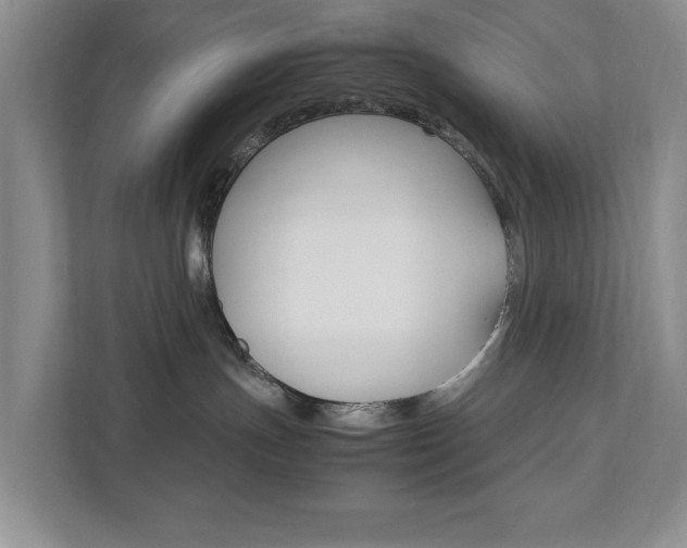X0000111950191200907271042