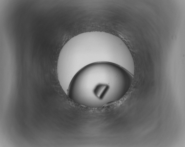 X0000111950192200907271042