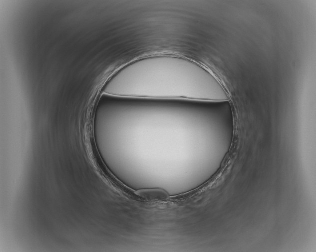 X0000111950193200907271042