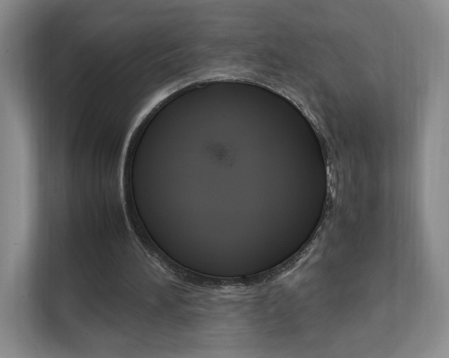 X0000111950196200907271041