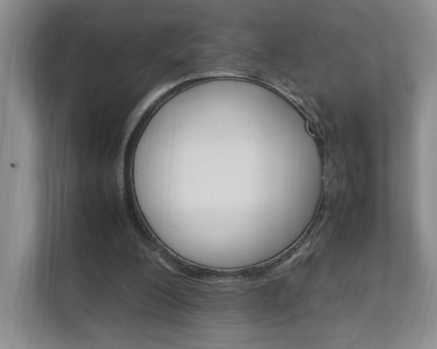 X0000111950200200907271041