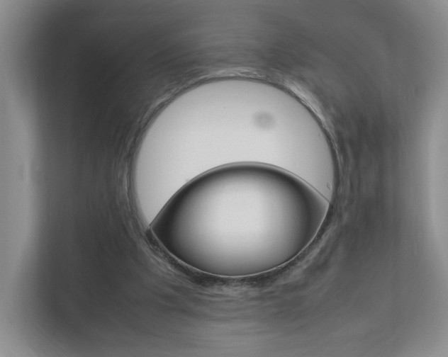 X0000111950201200907271041