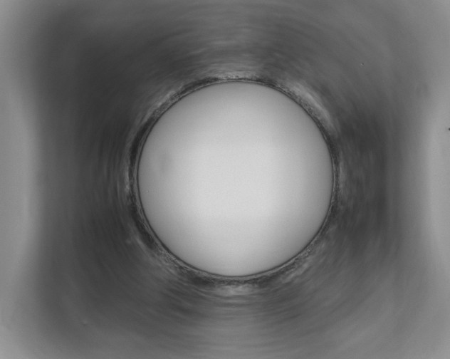 X0000111950202200907271041