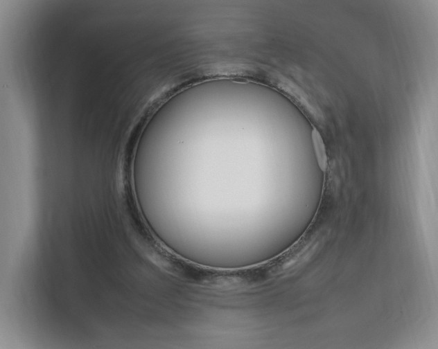 X0000111950203200907271041