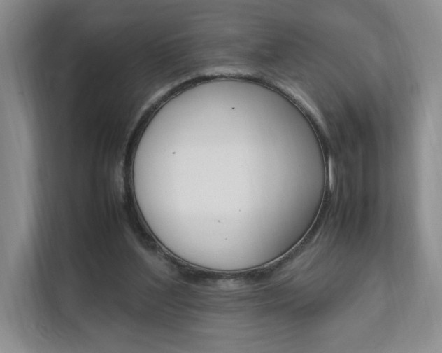 X0000111950204200907271041
