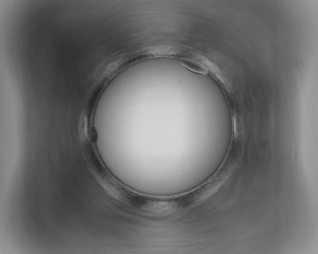 X0000111950205200907271041