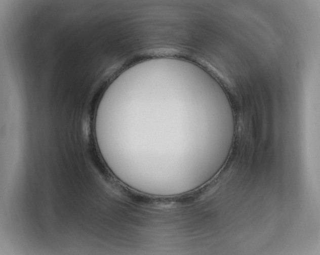 X0000111950206200907271041