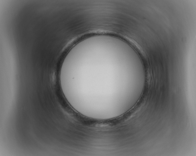 X0000111950208200907271041
