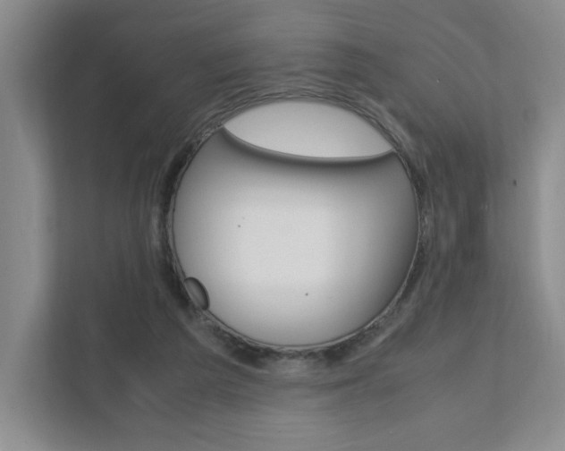 X0000111950209200907271041