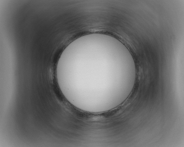 X0000111950210200907271041