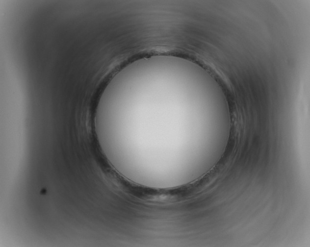 X0000111950212200907271041
