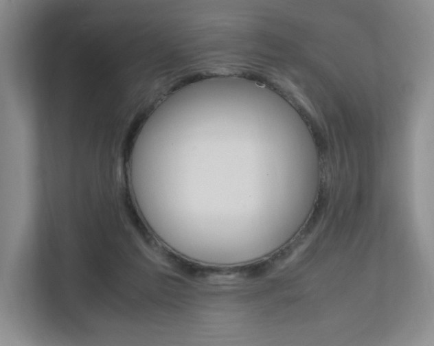 X0000111950213200907271041